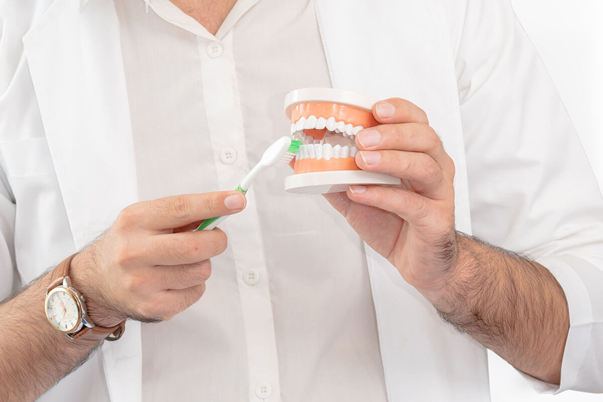 dentist demonstrates practicing proper dental hygiene on model teeth