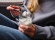 woman eats yogurt when learning about food to eat after wisdom teeth removal